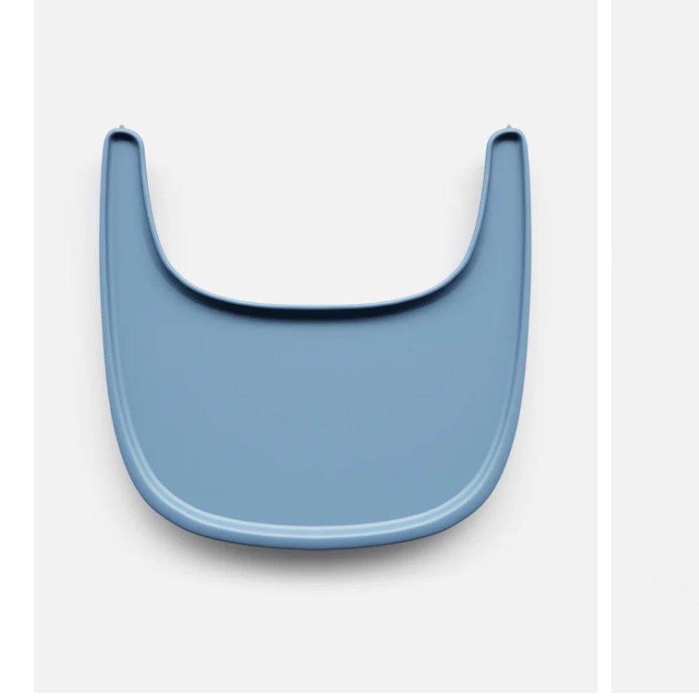 Lalo Tray in Blueberry